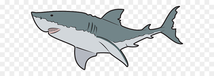 Tiburón，Tiburón Ballena PNG