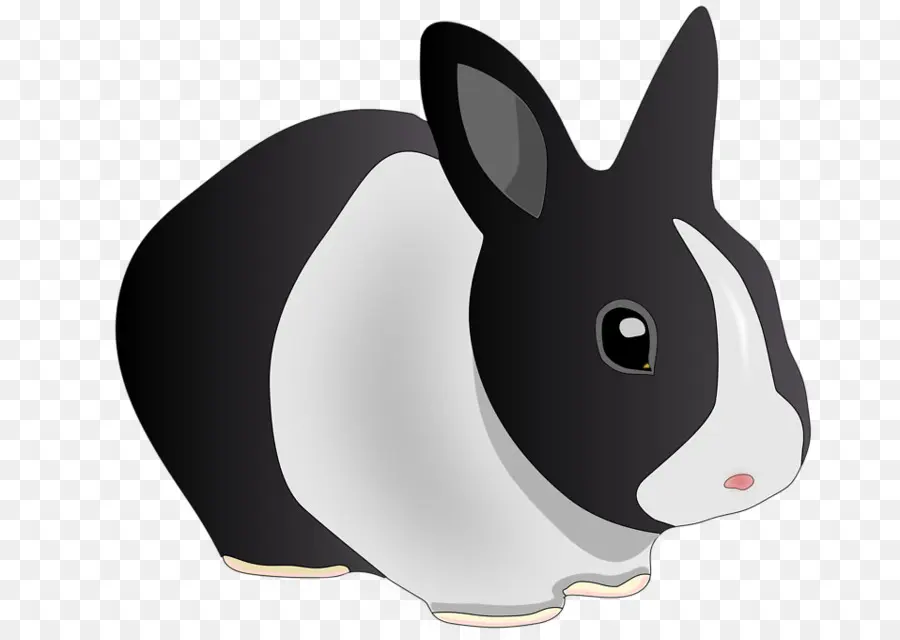 Conejo，Mascota PNG