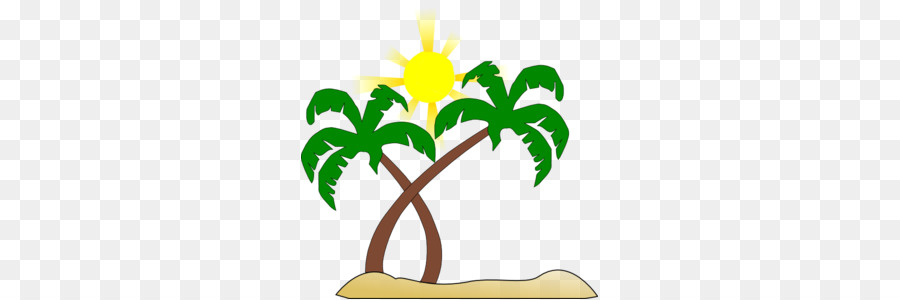 Palm Beach，Arecaceae PNG