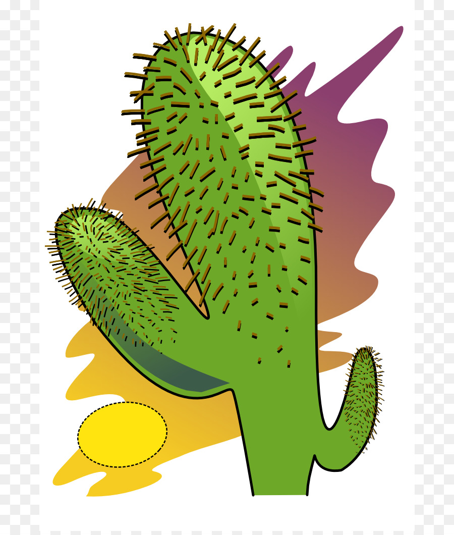 Desierto，Cactaceae PNG