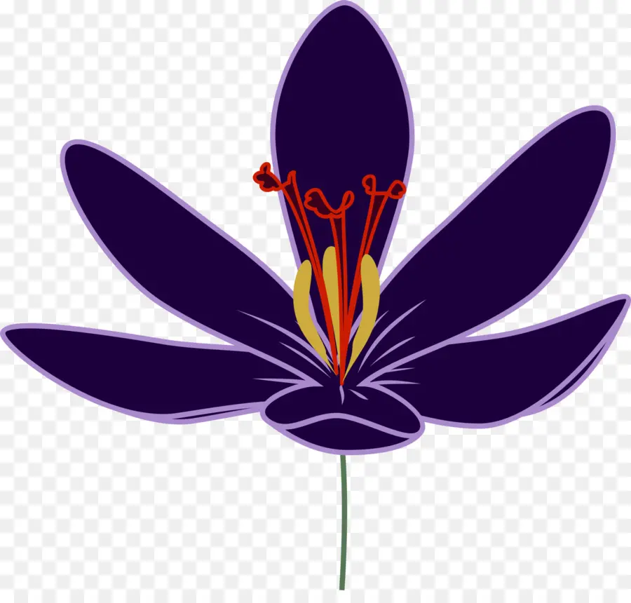 Azafrán，Flor PNG