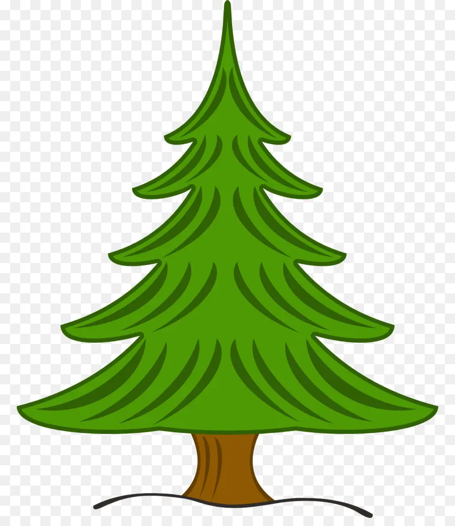 Árbol，Pino PNG