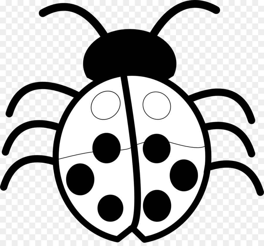 Los Insectos，En Blanco Y Negro PNG