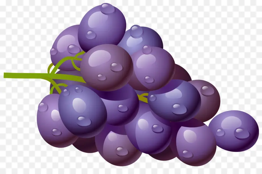 Uvas，Enredadera PNG