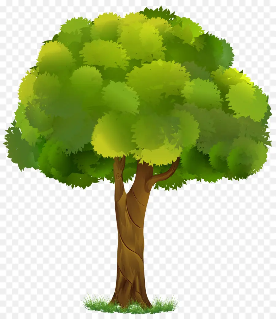 árbol，Postscript Encapsulado PNG