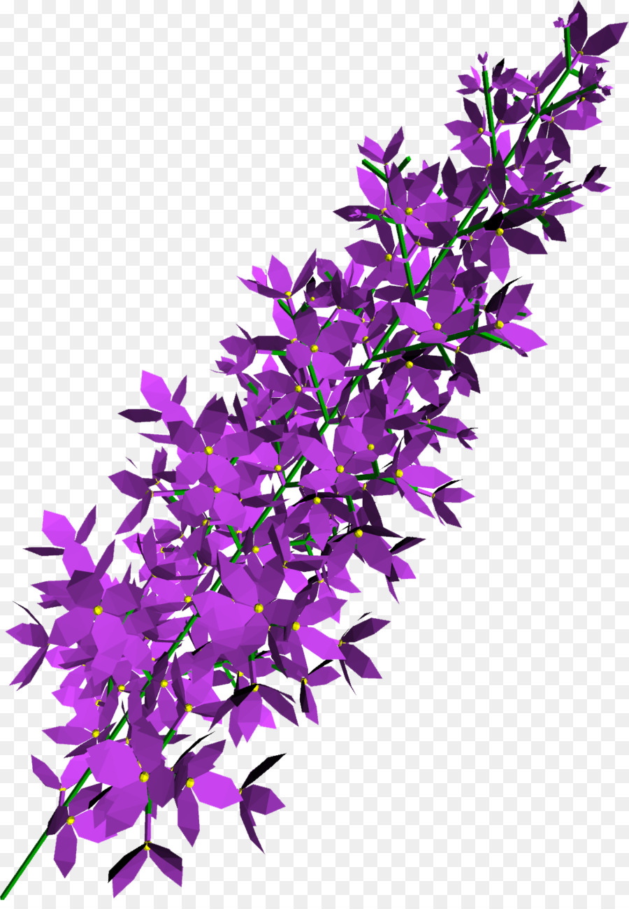 Púrpura，Lila PNG