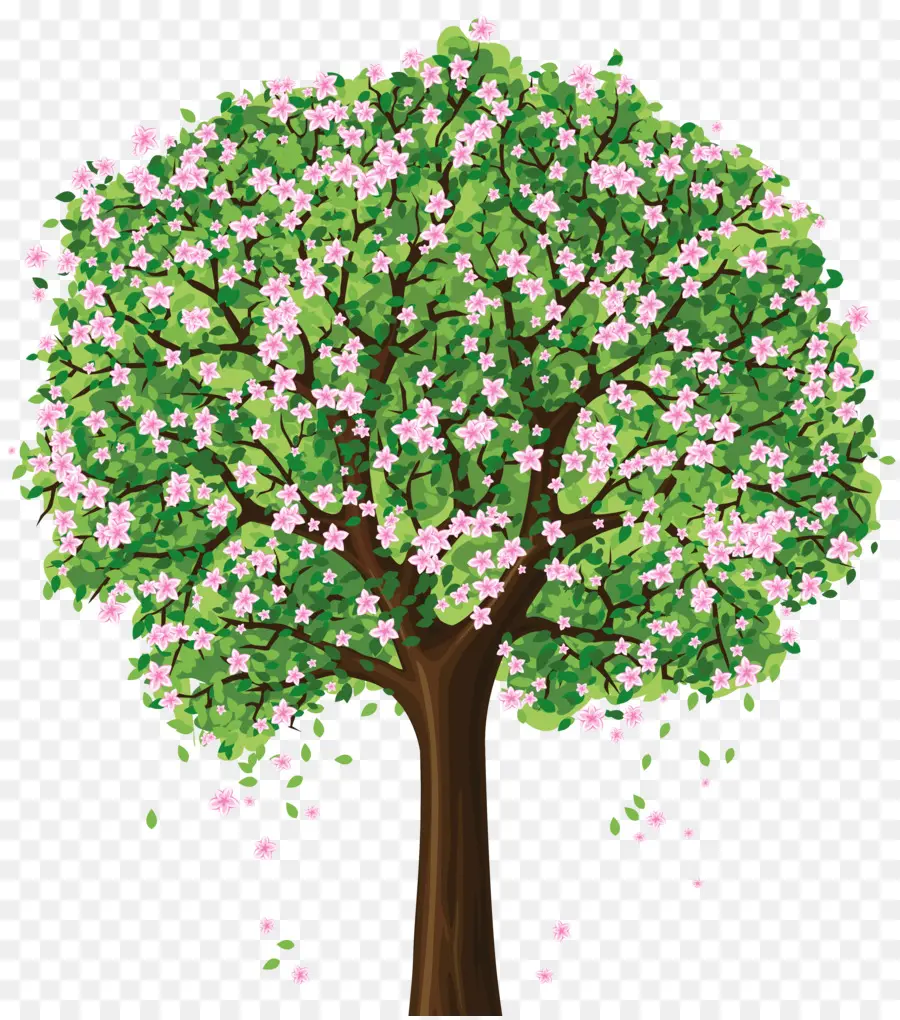 árbol Floreciente，Flores PNG