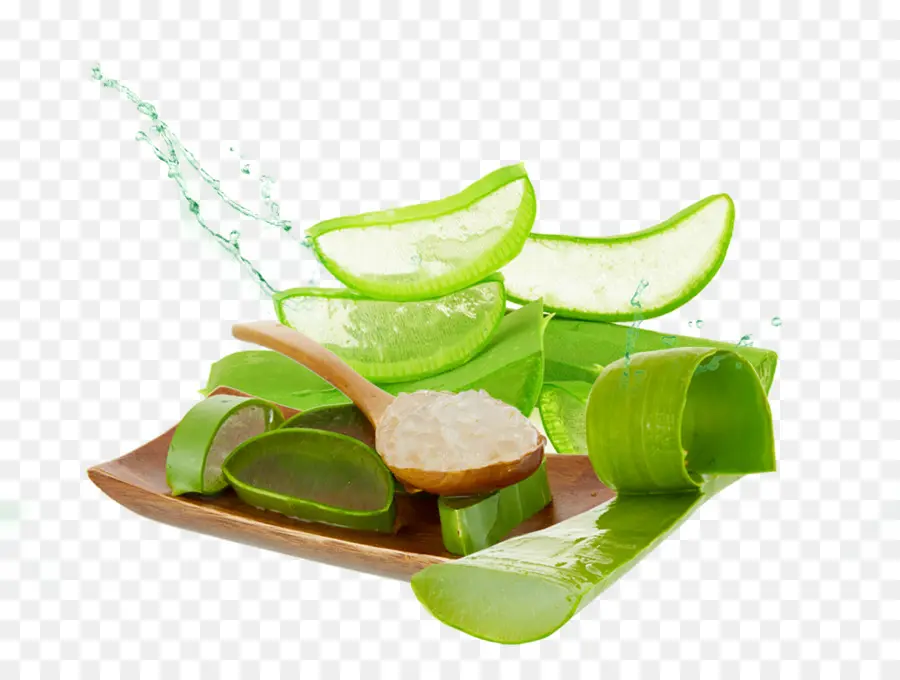 La Cúrcuma，Aloe Vera PNG