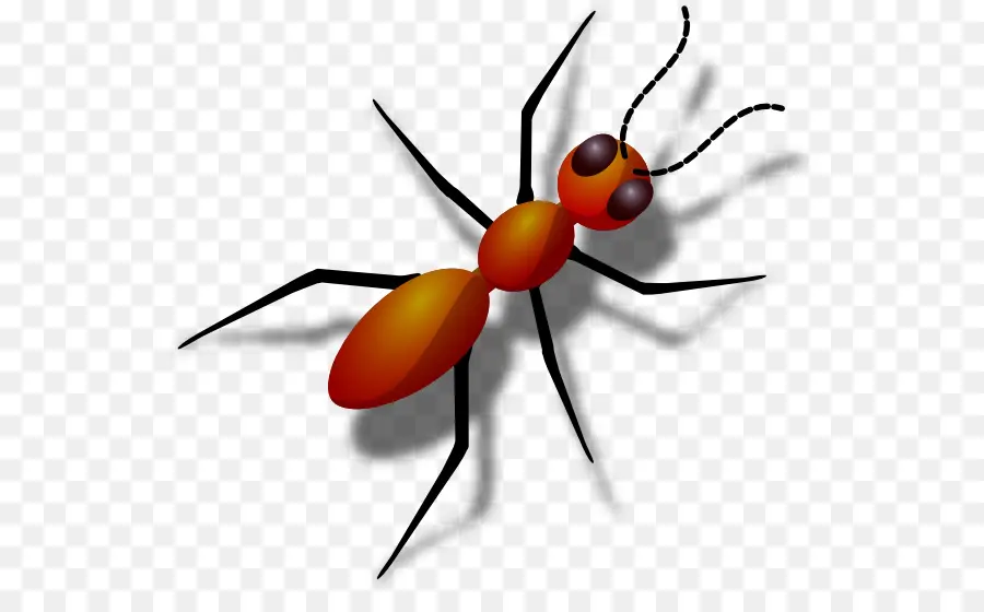 Ant，Las Hormigas De Fuego PNG