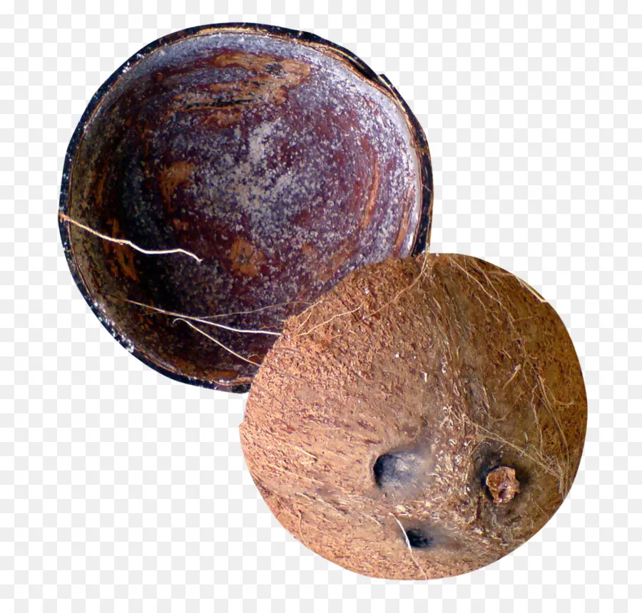 Cáscara De Coco，Coco PNG