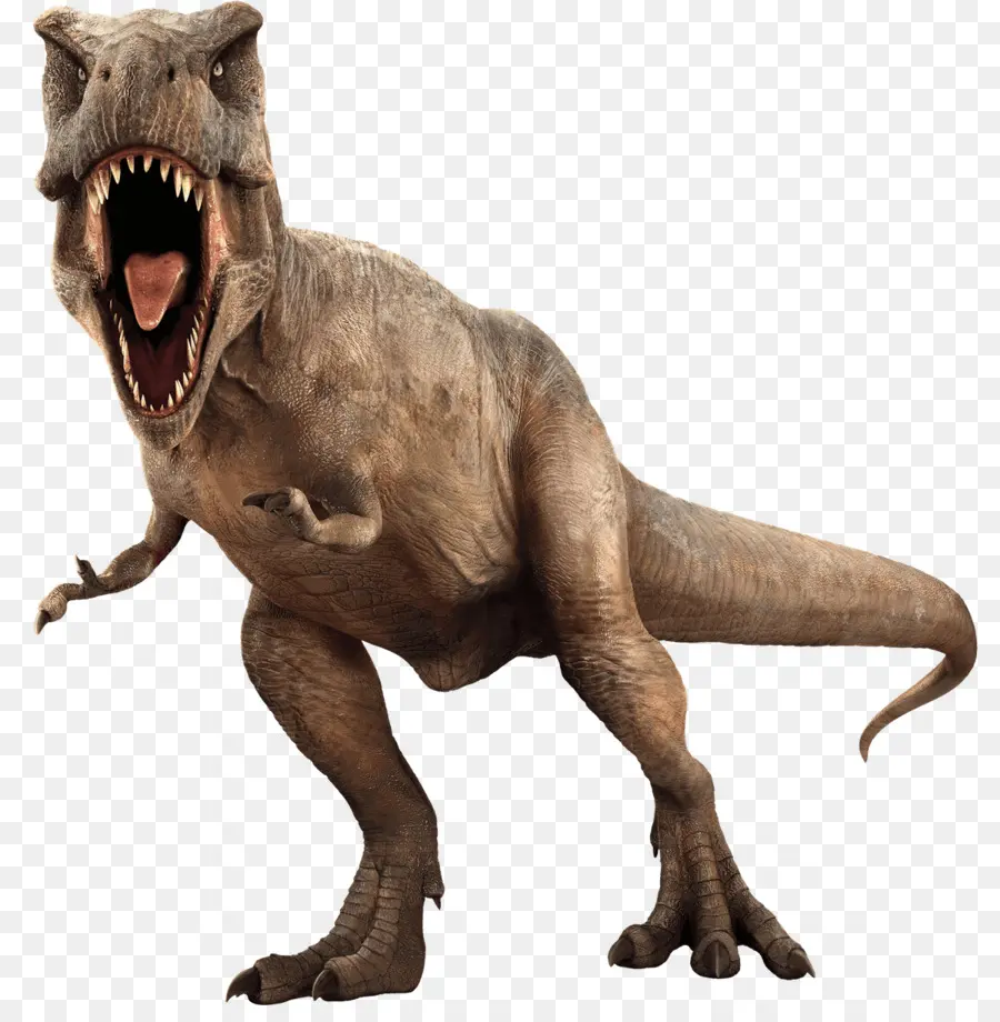 Jurassic Evolución En El Mundo，Velociraptor PNG