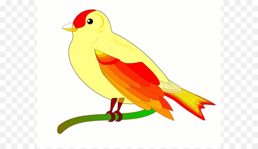 Pájaro，Animación PNG