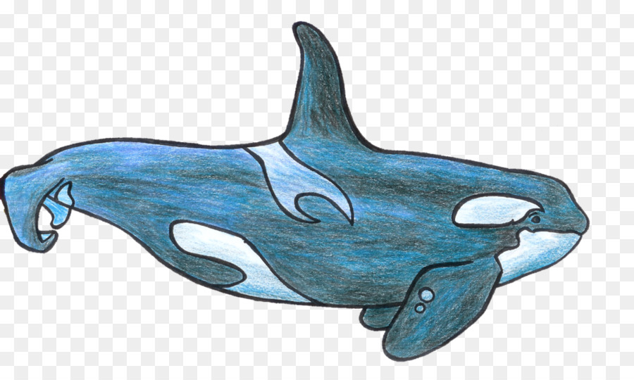 Orca，Ballena PNG