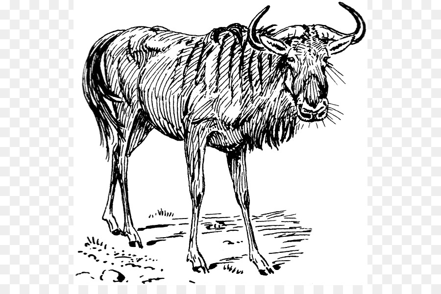 ñu Azul，Gnu PNG