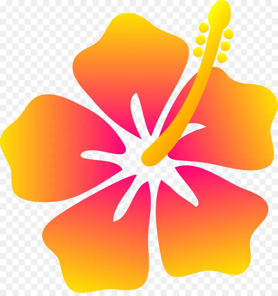 Hawaii，Flor PNG