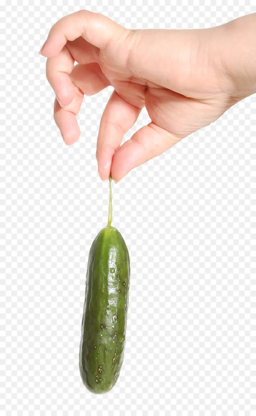 Pepino，Vegetal PNG