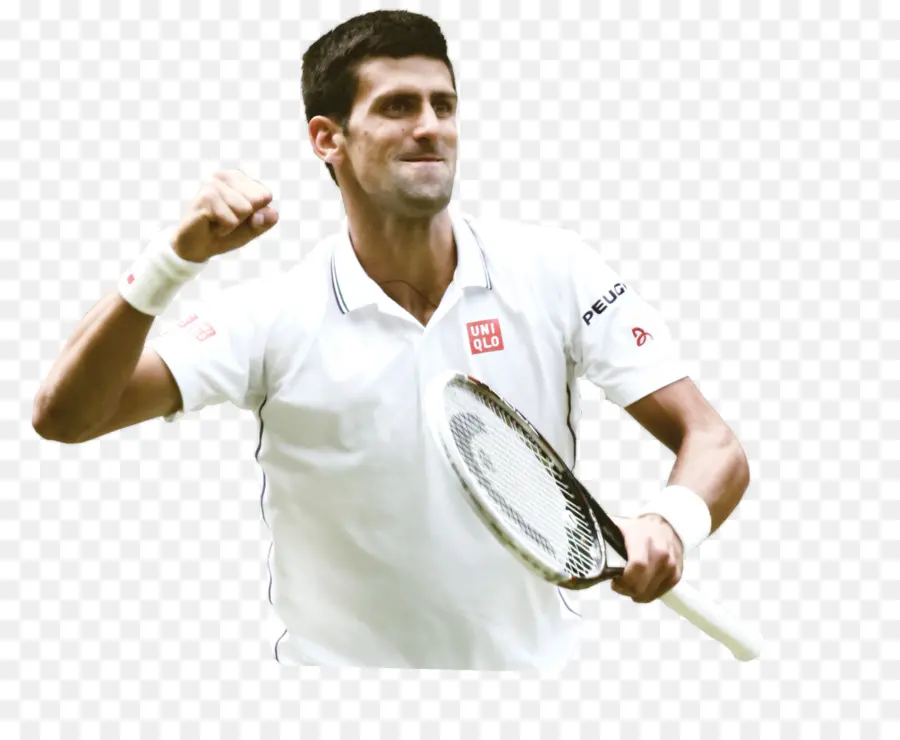 Novak Djokovic，2017 Novak Djokovic Temporada De Tenis PNG