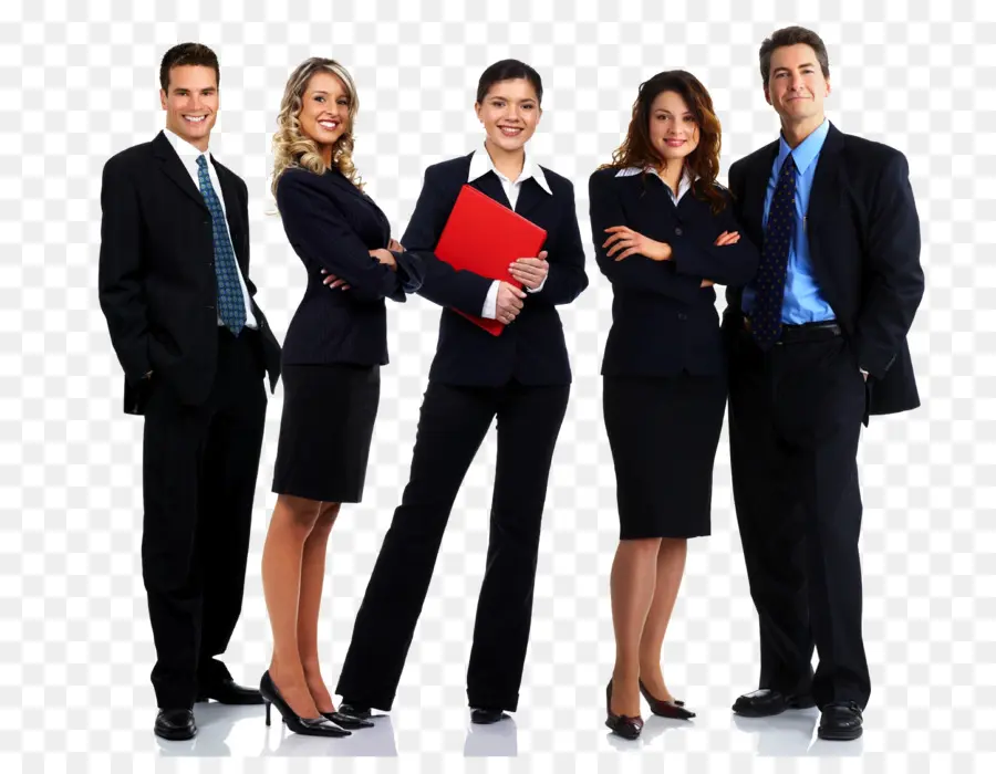 Equipo De Negocios，Profesional PNG