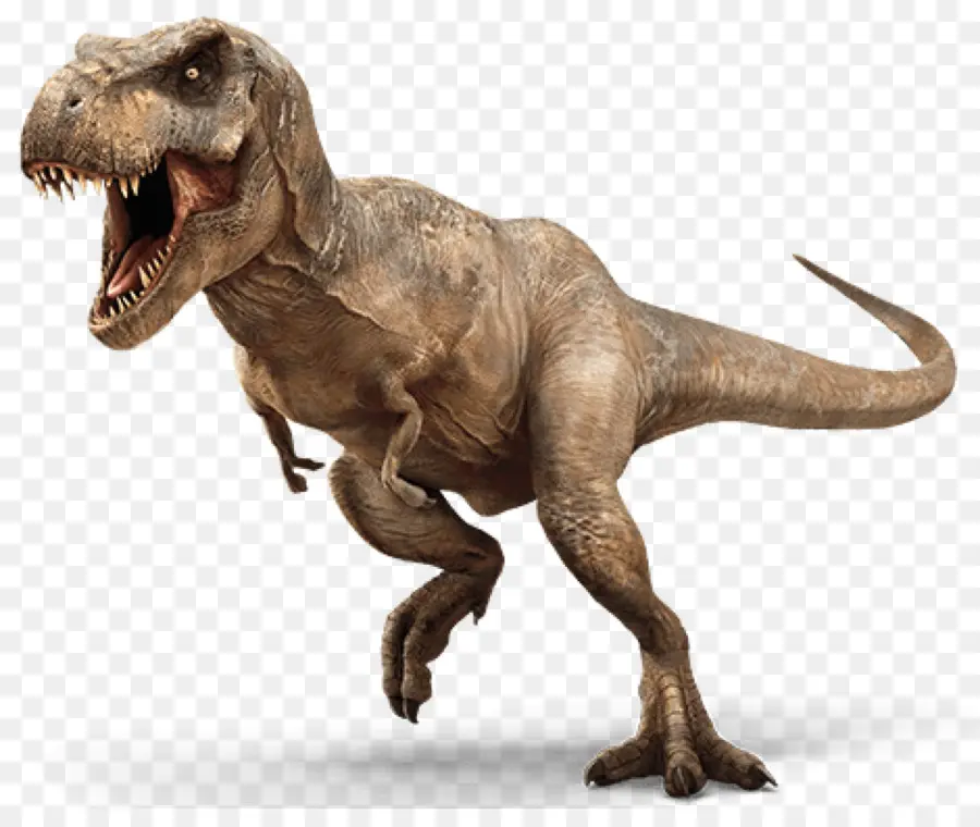 El Tyrannosaurus Rex，Triceratops PNG