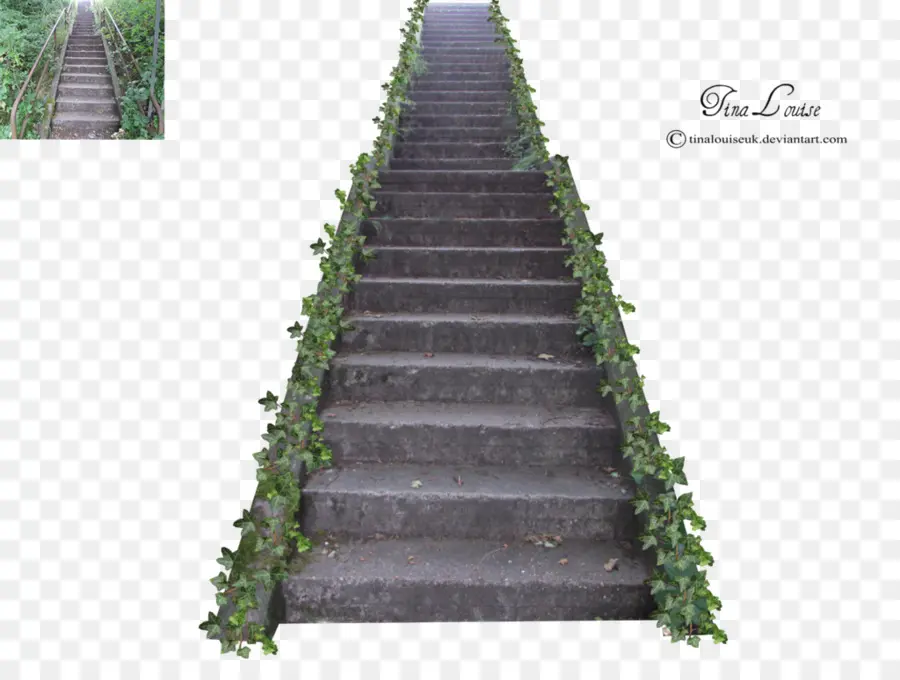 Escalera Con Hiedra，Pasos PNG