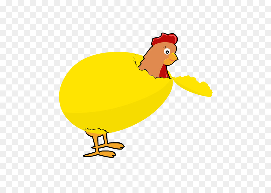 Pollo，Pato PNG