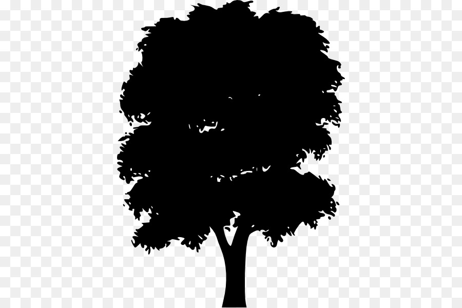 Árbol，Naturaleza PNG