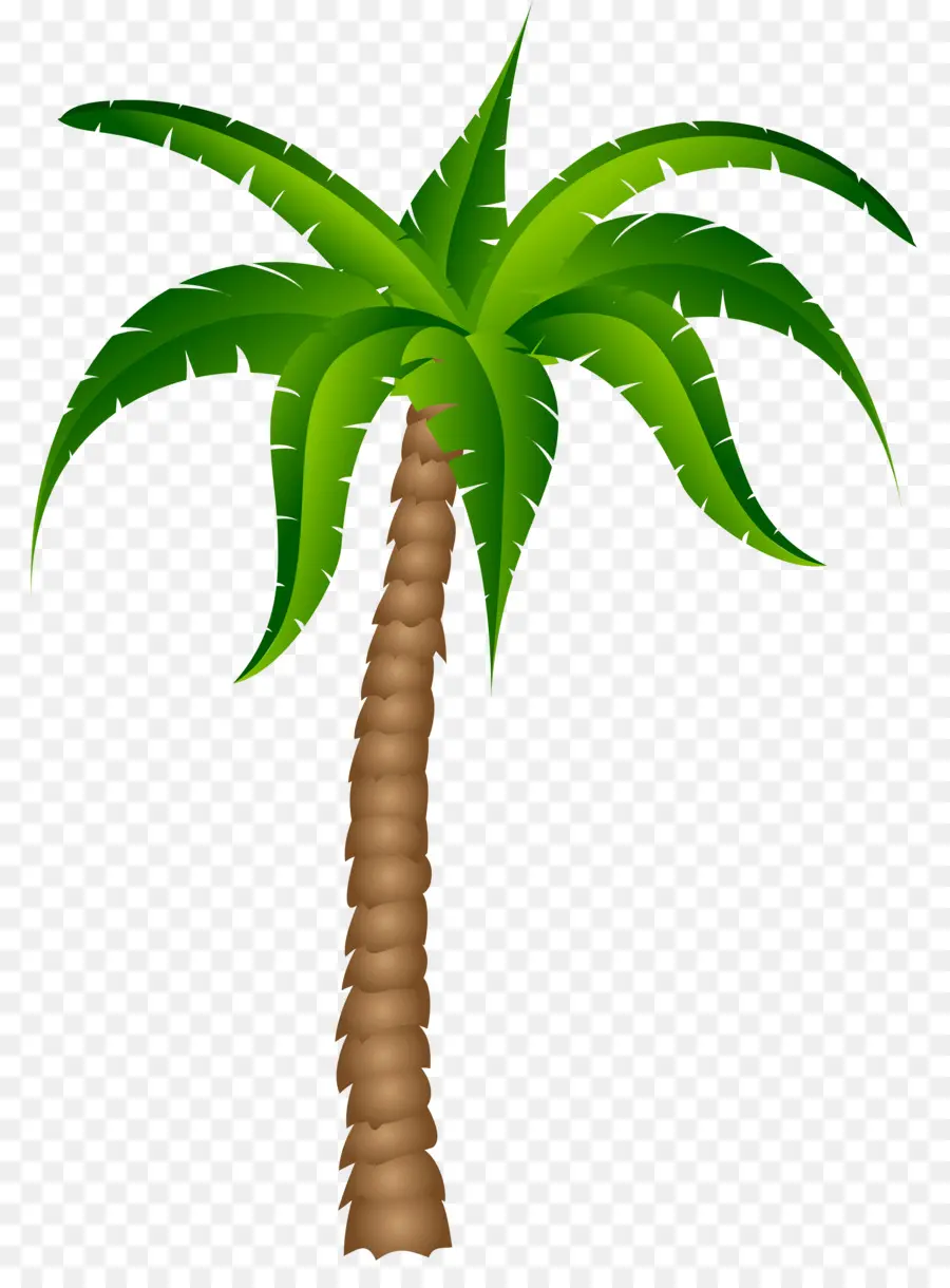 Palmera，Playa PNG