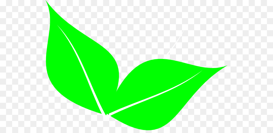 Hojas Verdes，Planta PNG