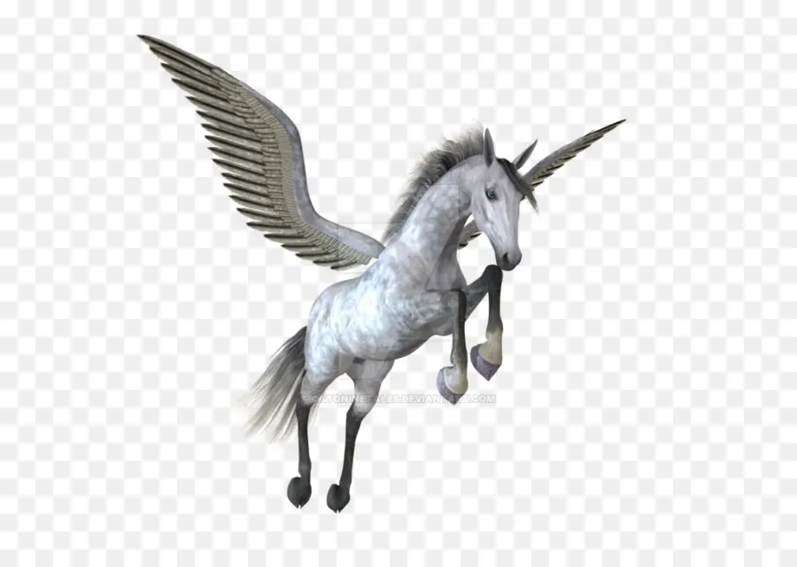 Pegasus，Unicornio PNG