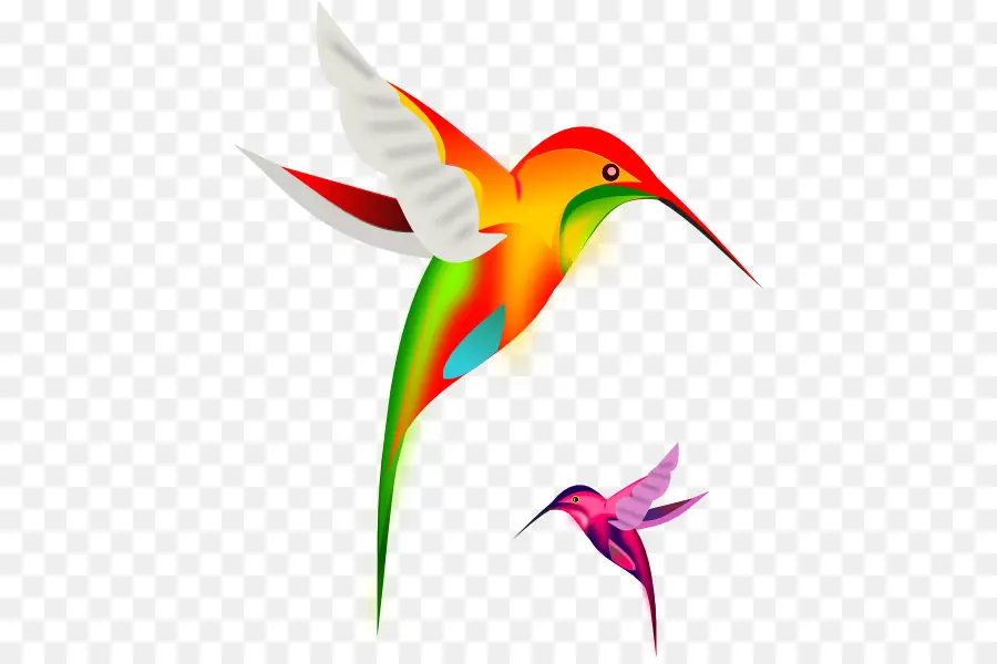 Colibrí，Vuelo PNG