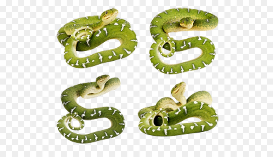 La Serpiente，Suave Serpiente Verde PNG