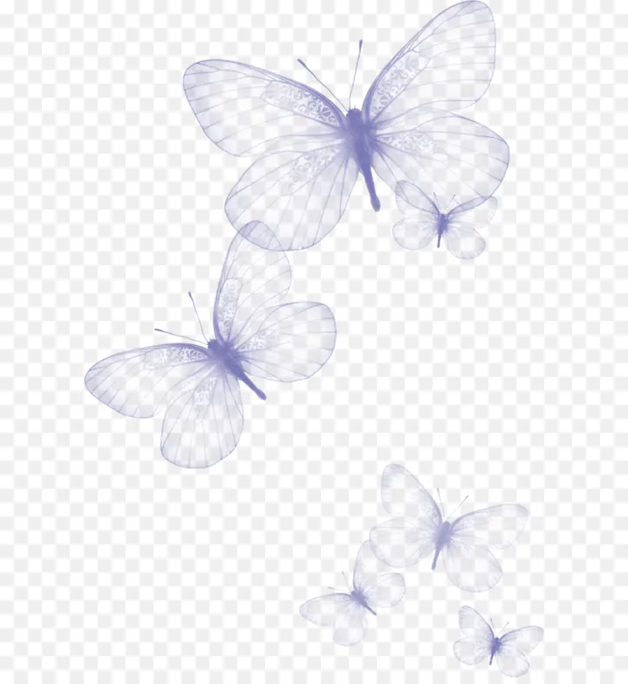 Mariposa，Color PNG