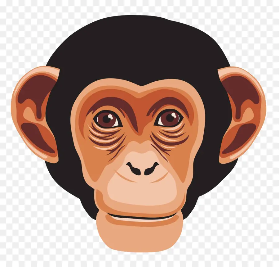 Chimpancé，Ape PNG
