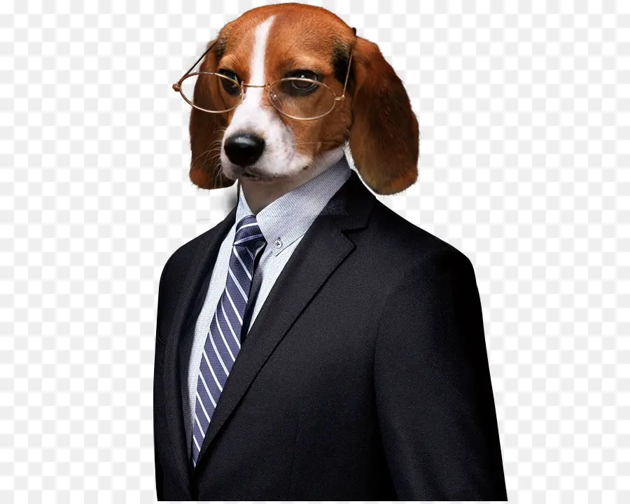 Perro En Traje，Negocio PNG