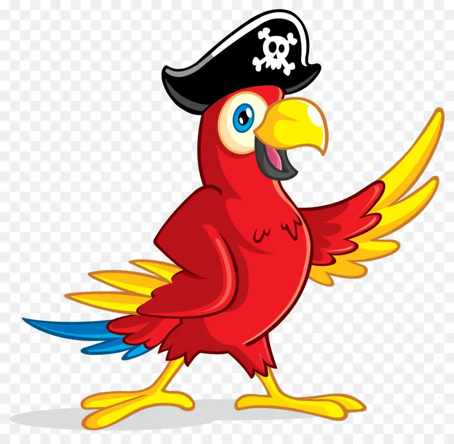 Parrot，Pirata Parrot PNG