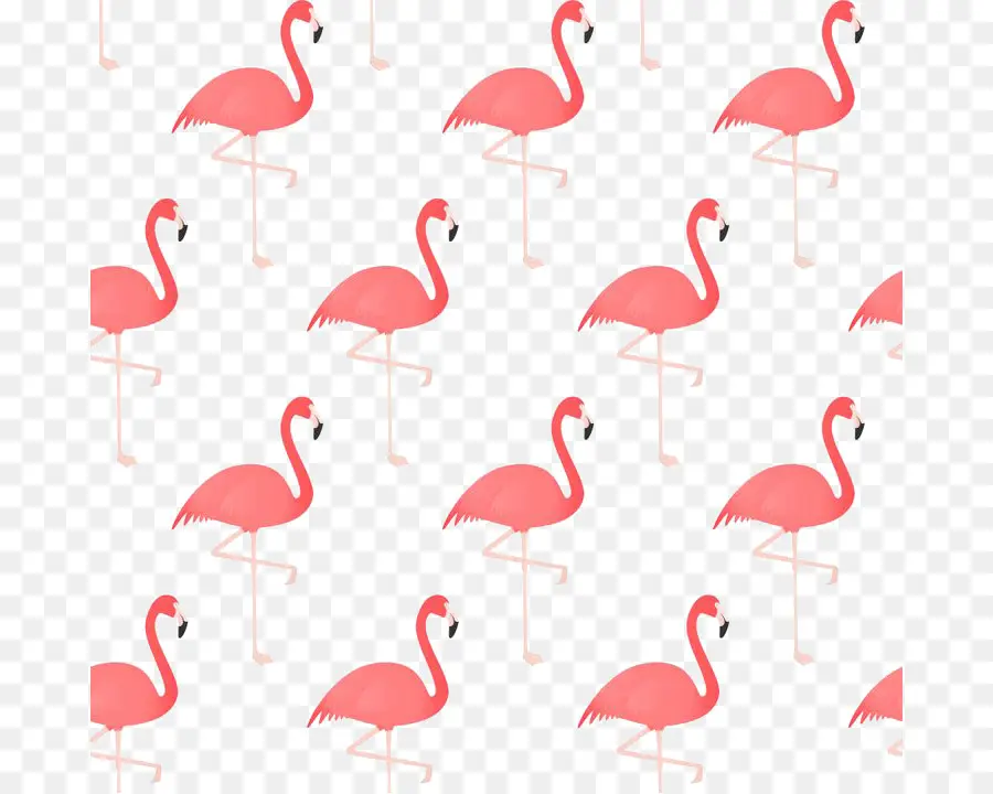 Flamencos Rosados，Aves PNG