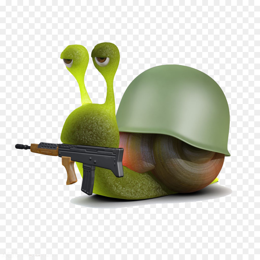 Caracol，Casco PNG