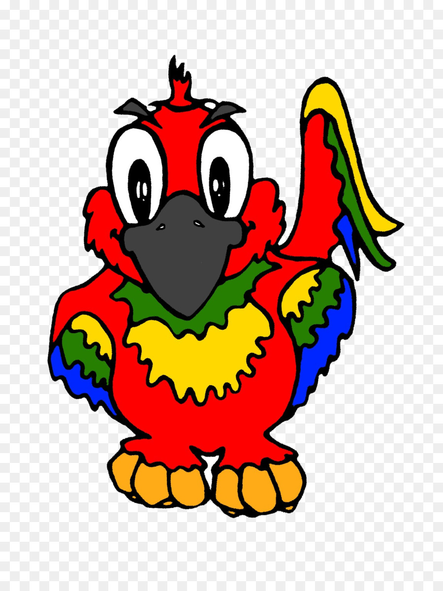 Loro Colorido，Pájaro PNG