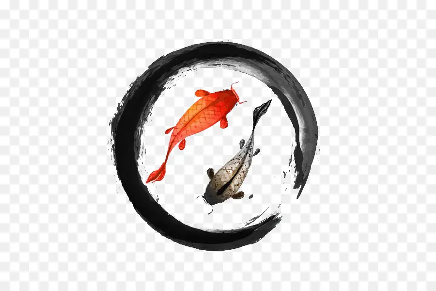 Koi，Dibujo PNG