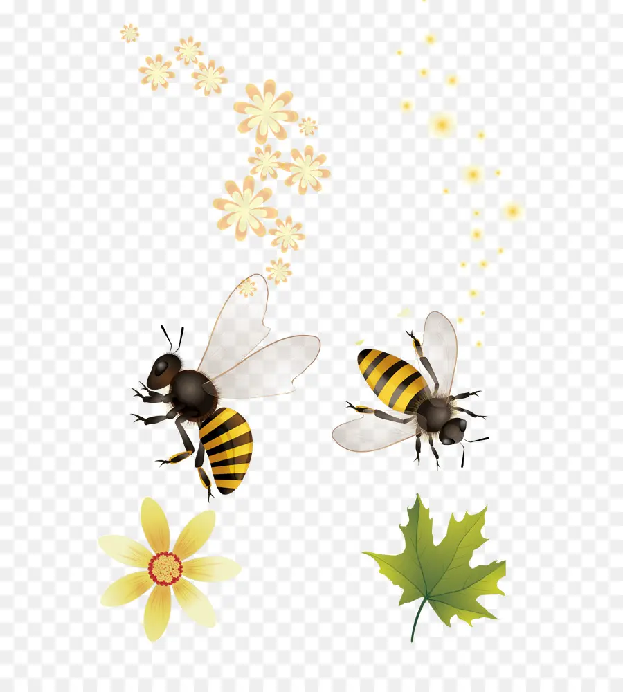 Abejas，Flores PNG