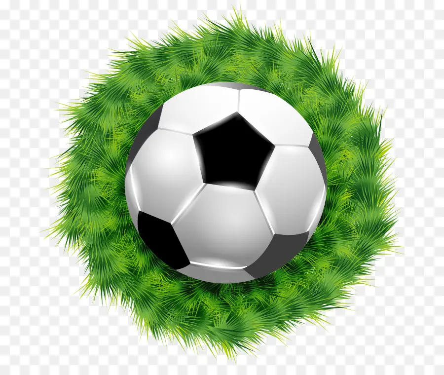 Balón De Fútbol，Fútbol PNG