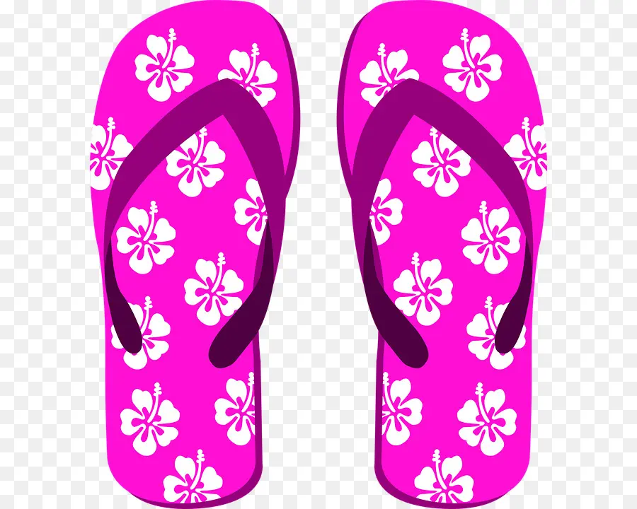 Zapatilla，Flipflops PNG