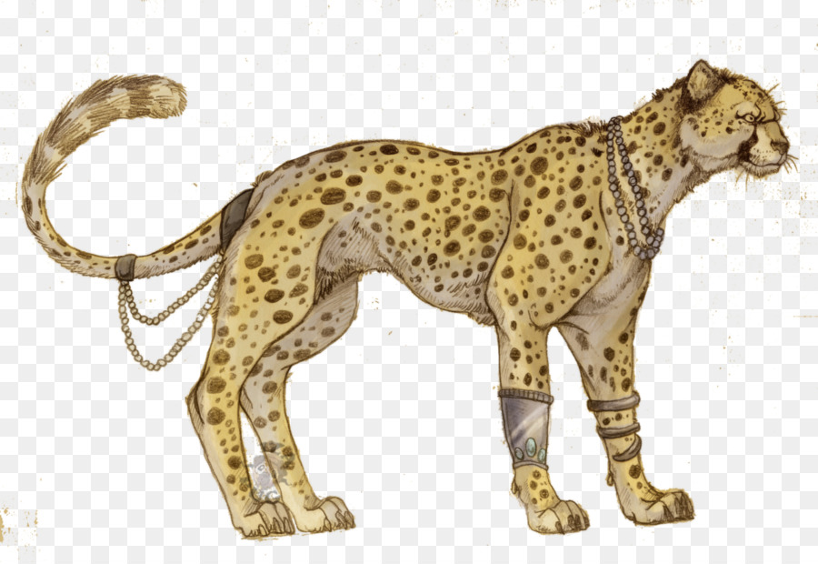 Cheetah，Felidae PNG