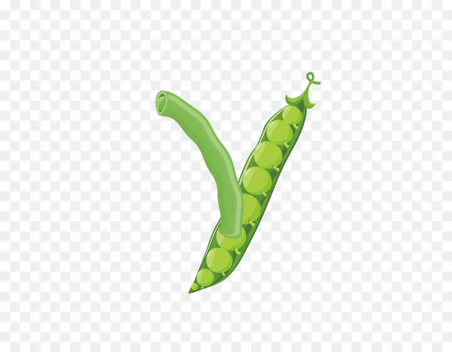 Vegetal，Alfabeto PNG