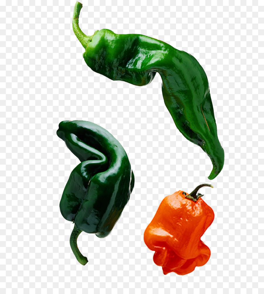 Pimiento，Pimienta De Chile PNG