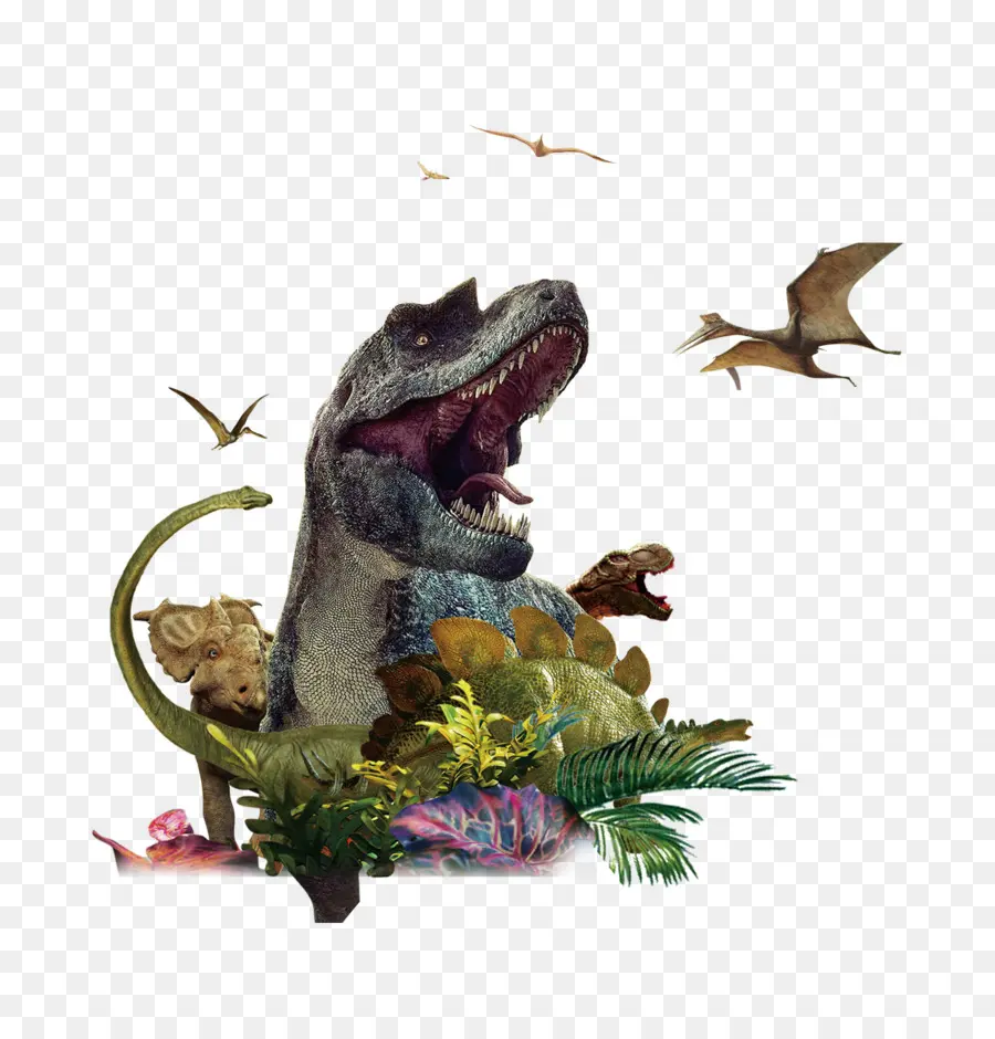 Tiranosaurio，Dinosaurio PNG