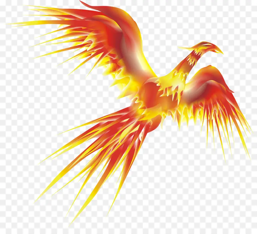 Phoenix，Resolución De La Pantalla PNG