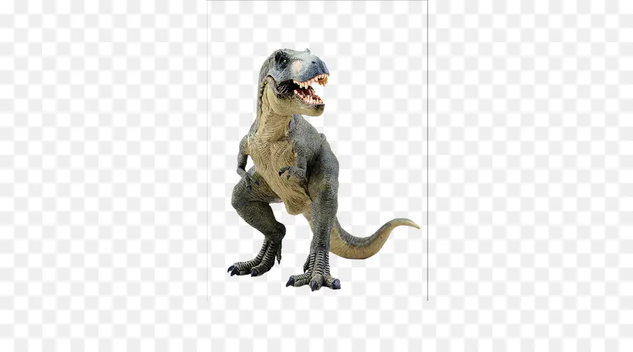 Tyrannosaurus，Velociraptor PNG