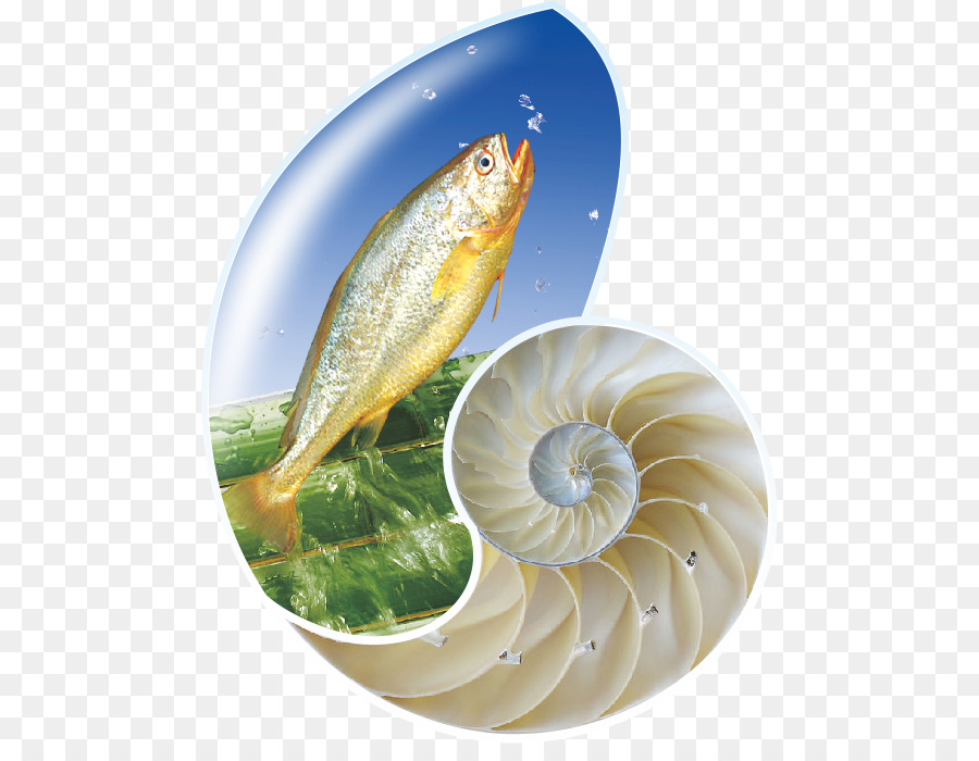 Pescado Como Alimento，Los Productos De Pescado PNG