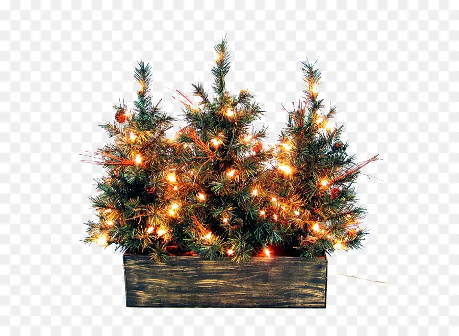 Arboles De Navidad，Luces PNG